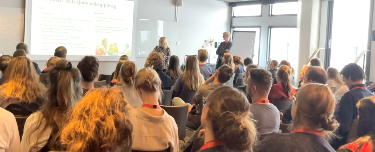 Huvudbild Forskningsseminarium på STP-konferens.jpg